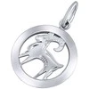 Sidabrinis pakabukas zodiako ženklas Ožiaragis - apvalus SILVEGOB10283S01
