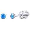 Sidabrinis susegti auskarai su Swarovski cirkoniu 2,5 mm SILVEGOB706025LB