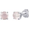 Silvego Sidabrinis stud earrings with real rose auksinis 6 mm JJJLRD6ERO