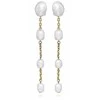 Silver Cat Sidabrinis Cat Delicate auksiniu dengti auskarai su tikrais perlais SC514
