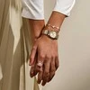 Skagen Auksuota širdies formos apyrankė Anja Hearts SKJ5010710