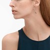 Skagen Prabangūs bronziniai auskarai SKJ1212998
