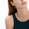 Skagen Luxury steel earrings SKJ1077040