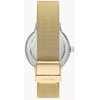 Laikrodis Skagen Riis SKW3092