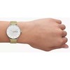 Laikrodis Skagen Riis SKW3092