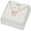 Skagen Romantiškas paauksuotų papuošalų rinkinys Kariana SKJB1014SET