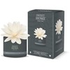 Sweet Home Collection Aroma difuzorius „Beržo žievė ir baltasis gintaras“, 200 ml
