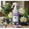 Sweet Home Collection Elderberry Flowers Air Freshener 250 ml