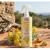 Sweet Home Collection Italic Helichrysum air freshener 250 ml