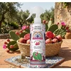 Sweet Home Collection Prickly Pear air freshener 250 ml