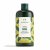 „The Body Shop“ šampūnas sausiems plaukams su bananais (šampūnas)