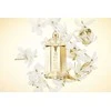 Thierry Mugler Alien Goddess rinkinys moterims (EDP, 60 ml + EdDP, 10 ml + kūno losjonas, 50 ml)