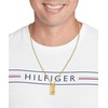 Tommy Hilfiger Auksuotas vyriškas karoliai su kariniais ženklais Jameson 2790628