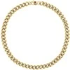 Tommy Hilfiger Masyvus plieno karoliai vyrams Wild 2790605