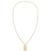 Tommy Hilfiger stilingas paauksuotas karoliai 2790484