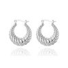 Troli Elegant steel hoop earrings