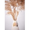 Troli Gold-plated earrings Laurel leaves