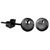 Troli Juodas steel stud earrings