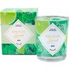 Troli Scented candle 40h with Mojito jewel CCOMO100