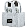 Vivian Gray Amber & Cedar Gift Set