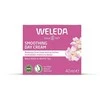 Weleda Wild Rose &amp; Baltas Tea Smoothing Day Kreminis Day Kreminis