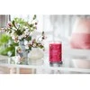 Yankee Candle Aromatinė žvakė Signature tumbler large Raudona Raspberry 567 g
