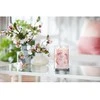 Yankee Candle Aromatinė žvakė Signature tumbler large Rožinė Cherry Vanilla 567 g