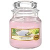 Yankee Candle Sunny Daydream kvapioji žvakė unisex, 104 g