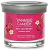 Yankee Candle kvapioji žvakė „Raudona“ su avietėmis, 122 g