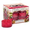 Yankee Candle Raudona Raspberry