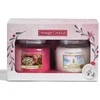 Yankee Candle Kalėdinis rinkinys su vidutinio dydžio "Classic" žvakėmis