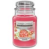 Yankee Candle kvepianti žvakė Home Inspiration didelė cukruotos braškės 538 g