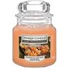 Yankee Candle kvapioji žvakė „Home Inspiration“ maža moliūgų derlius 104 g