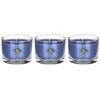 Yankee Candle Yankee žvakė su užpilu „Juodas arbata ir citrina“, 3 x 37 g