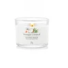 Yankee Candle Coconut Beach kvapioji žvakė, 37 g