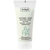 Ziaja Peelingová maska s ovocnými kyselinami (Face Mask + Scrub) 55 ml