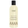 Ziaja Smoothing Šampūnas skirtas sausiems ir pažeistiems plaukams Argan Oil (Smoothing Šampūnas) 300 ml