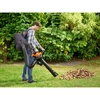 Black & Decker lapų pūstuvas - siurblys BEBLV300 3000W