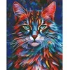 Daugiaspalvė katė 40*50 cm (apvalus deimančiukai)