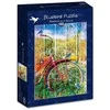 Dėlionė Bluebird Puzzle Paukščiai ant dviračio 1000 vnt.