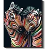 Spalvingos zebros 40×50 cm