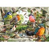 Ravensburger 1000 Puzzle Dėlionė: Feathered Friends