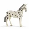 Schleich figūrėlė Knabstrubų veislės kumelė