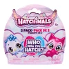 Spin Master - Hatchimals Mini Eggs 2 Pack Who Will You Hatch Secret Figures