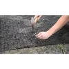 Arrigoni Tinklas nuo paukščių ir kurmių 2 x 500 m (12 g/m²) ORTOAMICA