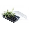 Daigykla 37 x 23,5 cm (3 vnt)