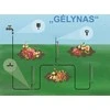 Laistymo Padejejas Laistymo rinkinys "Gėlynas"