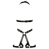 Bad Kitty Harness L/XL rožė