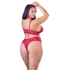 Cottelli Curves Bra and Raudona Briefs XL