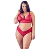 Cottelli Curves Bra and Raudona Briefs 3XL